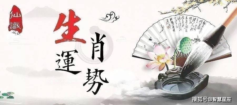 争奇斗艳打一准确生肖详细解答、构建解答解释落实