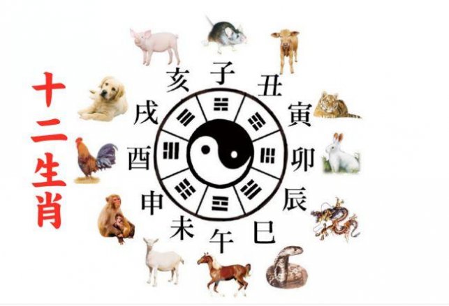 欲钱买人类的祖先是什么生肖，全面释义、前沿解答解释落实