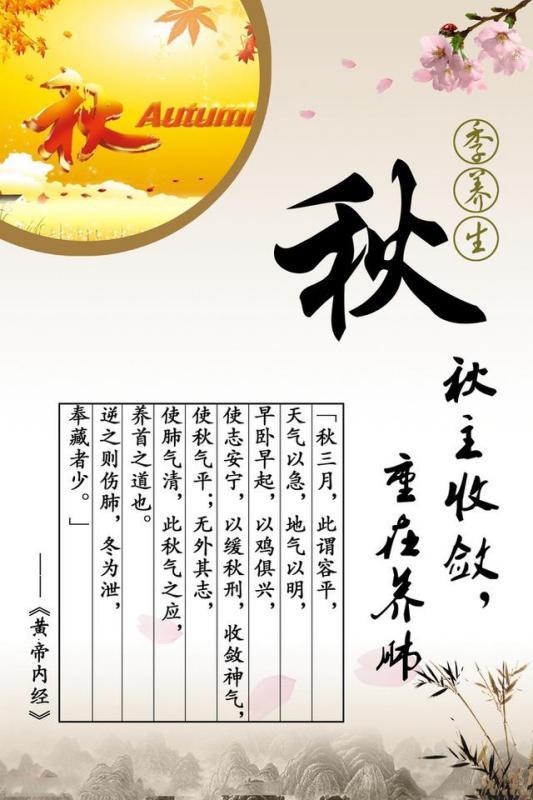 今期生肖运到时留住三八把五配打一生肖请全面2释义、解释与落实、构建解答解释落实