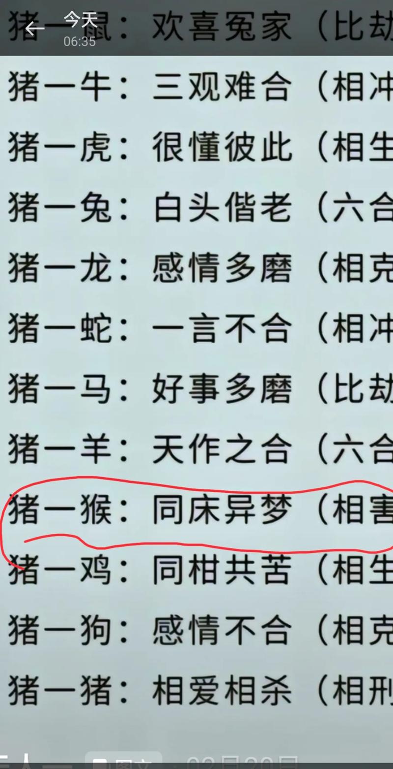 今期猪鼠鸡出特，二三沧海三桑田打一精准生肖请全面2释义、解释与落实、定量解答解释落实