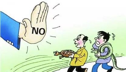 一飞冲天是什么生肖、警惕虚假宣传-全面释义、定量解答解释落实